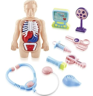BRQ DOCTOR PIMPI CORPO HUMANO 70003